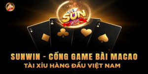 hỗ trợ tài xỉu online Sunwin